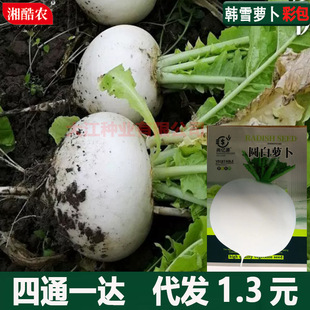 �ļ��A���nѩ�}���N�Ӵ������}���N�ѷ��Ǵ��}���߲˷N�Ӱ��b�S�C