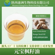 元宝枫籽油 神经酸≥6% 元宝枫籽萃取 康洲生物供应 现货量大从优