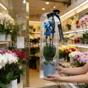 �r�����b���m���к����m������͸��520ĸ�H���Y�пպл�ˇ�Y���