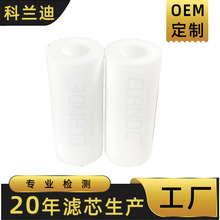 PE烧结滤芯高分子微孔滤芯消音过滤管温湿度仪滤芯PE过滤滤芯