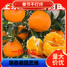 һlĴҊҰҸ̘˸̷Nֲθ̘