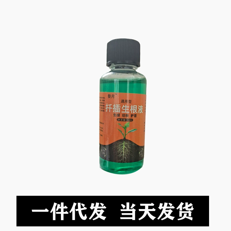 Вставьте корневой раствор, чтобы способствовать укоренению, чтобы способствовать росту