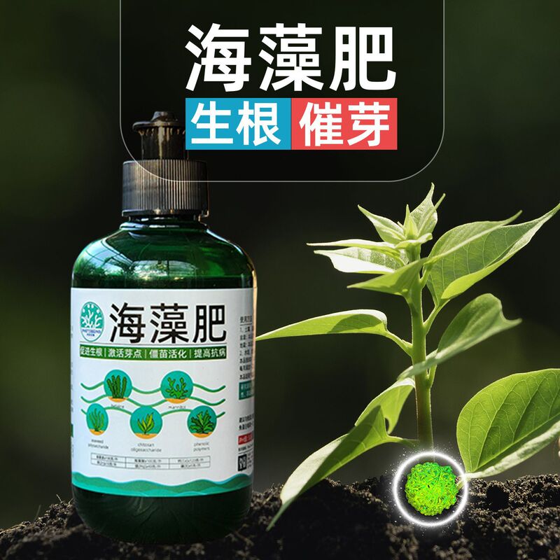 250g小瓶海藻肥海藻酸海藻精植物营养液生根剂花肥化肥水溶肥肥料|undefined