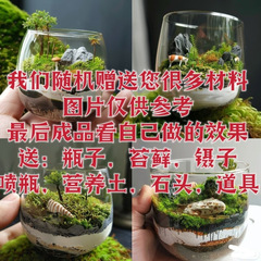 コケ直筒瓶微景観生態瓶苔植物DIYオフィスデスクトップ減圧小鉢植えメーカー