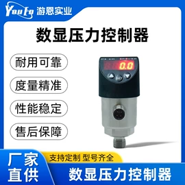 其他流量仪表;流量开关;压力开关