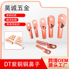 Dt銅鼻紫銅材質線耳配線端子国標銅鼻閉口線鼻銅端子