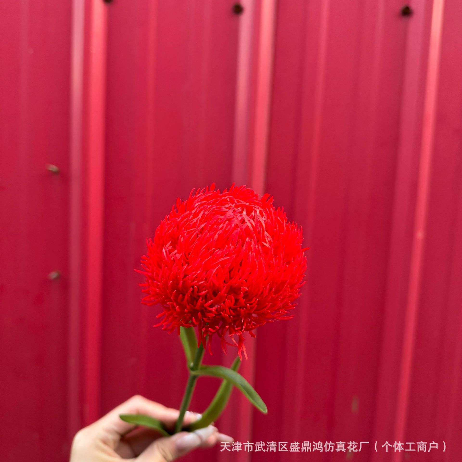 밝은 빨간색