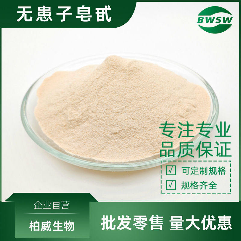 无患子皂甙 无患子提取物 40%-80% 无患子粉浓缩萃取 223748-41-2