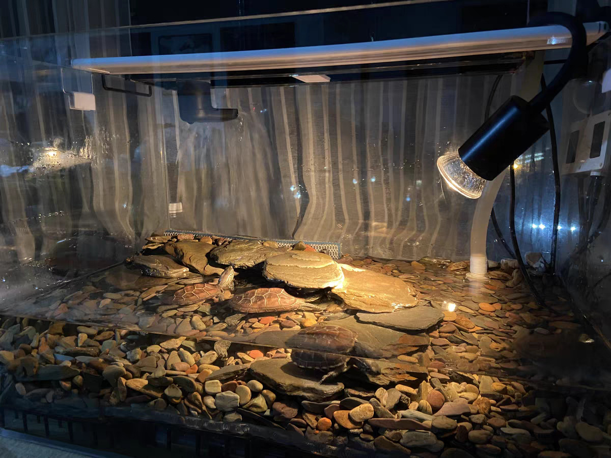 微信图片_202303271427424