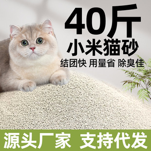 С��؈ɰ���ɰ����ɰ20�������40�：�w��؈ɰ��ˮ���l���]