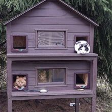 室外防晒猫别墅户外加棉防雨防寒庭院猫房猫窝流浪猫实木保暖双层