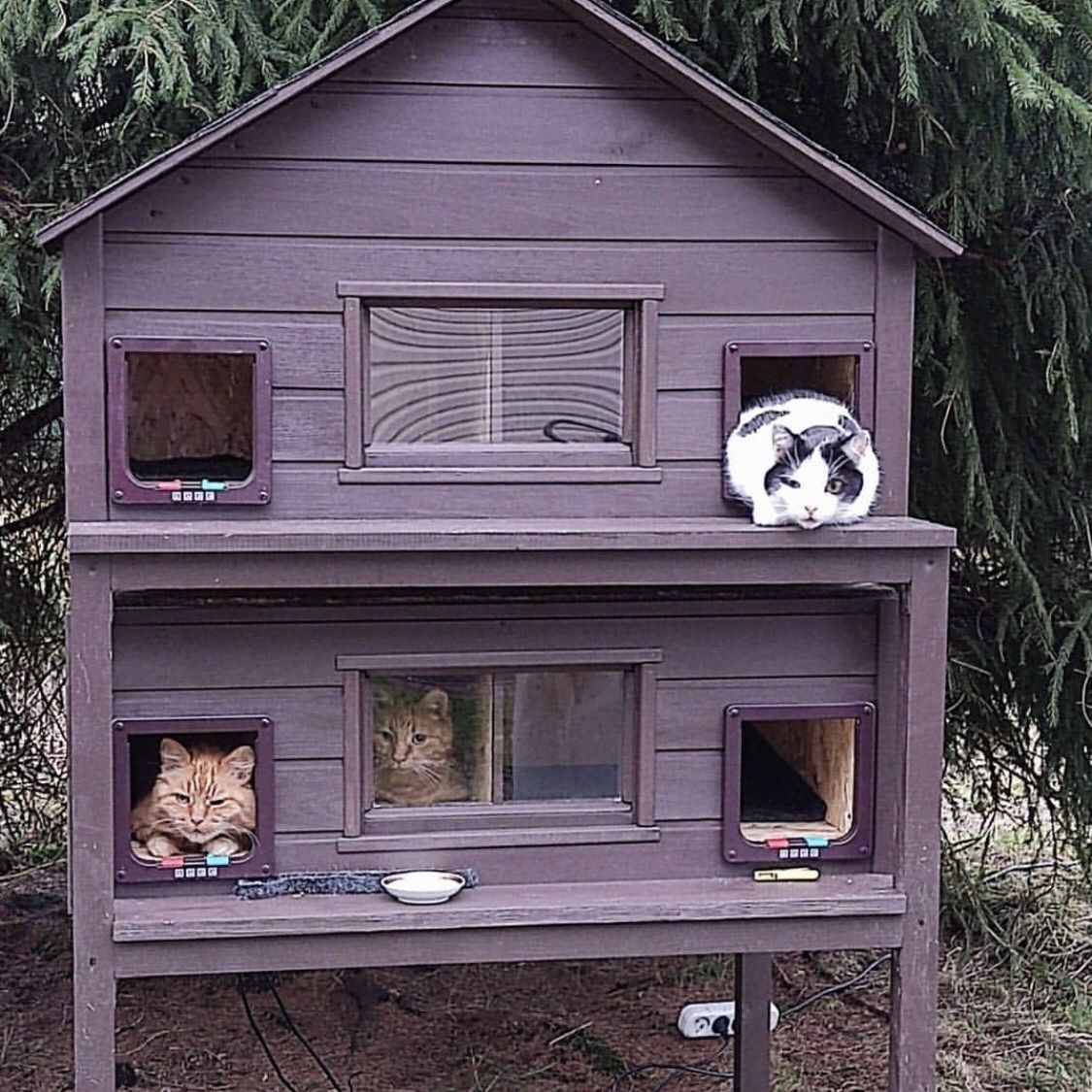 室外防晒猫别墅户外加棉防雨防寒庭院猫房猫窝流浪猫实木保暖双层