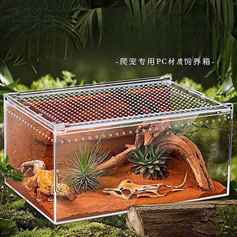A爬虫饲养盒宠物箱透明亚克力蜘蛛守宫角蛙甲虫蝎子造景爬宠防逃D