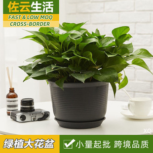 Fleshy Flower Pot Resin Tiger Piran White Plastic Flower Pot Household Ceramic Green Basket Light Luxury Imitation Ceramic Household Potted Plant