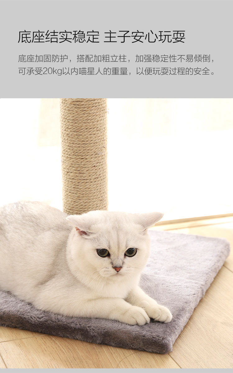 小兽星猫爬柱_05.jpg