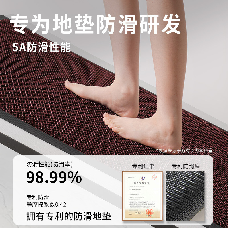 跨境入户门地垫高级感进门耐脏防滑脚垫家用门口免洗地毯室外防水|undefined