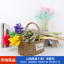 ���Č�ʯ�ݸɻ���ԭɫ�滨�L�ɻ���@�L�ɻ��b廨�ɻ����l