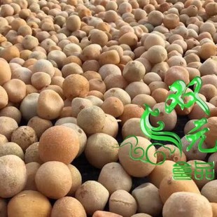 ���lɢ�b���ƙ�����10��/�� �̙��ʸ� ��ؐ���� �̙��� ����Ƭ