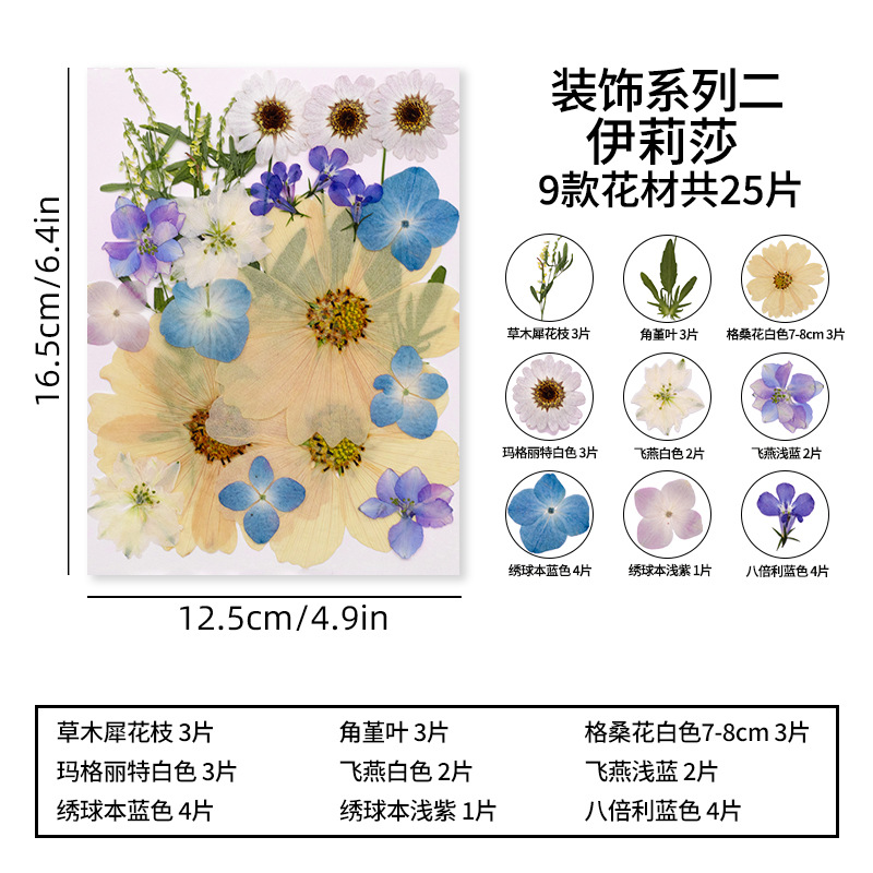 장식 시리즈 2 엘리자