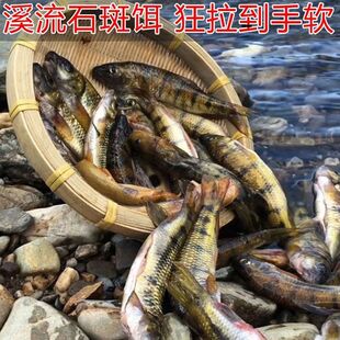 ȫ��СϪʯ���~�D�Ϻڿ�Ұ�Ϫ�~�D�~��Ϫʯ���~�~�Dʯ�߹ⴽ�~�D