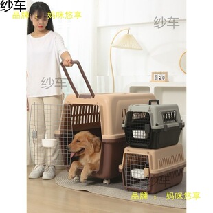 ��y������؈�����Ȯ�Ә�׼���܇�d���ﺽ�������\��С�͹��\