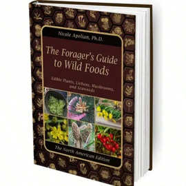 外贸跨境款 Notebooks Writing Pads 野生食物指南高品质图片地图