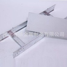 金属厂家 梯级式电缆桥架 河北赛扬金属制品厂家货源 量大从优