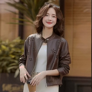 2026��������e�ع��U�ջ���̽��d��Ƥ���͹���ɫƤ������Ů