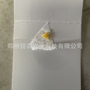 ���w�x�����Ǯ�ɫư�x�ѿ���S���]�J�r�Ʒ������x���x�씳���w�x
