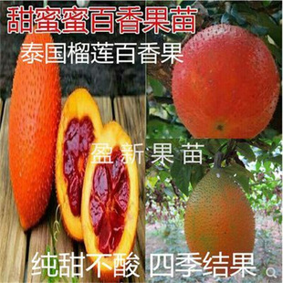 ̨�rһ̖������� ľ�ϚJ���S�������������ٹ��箔��Y��