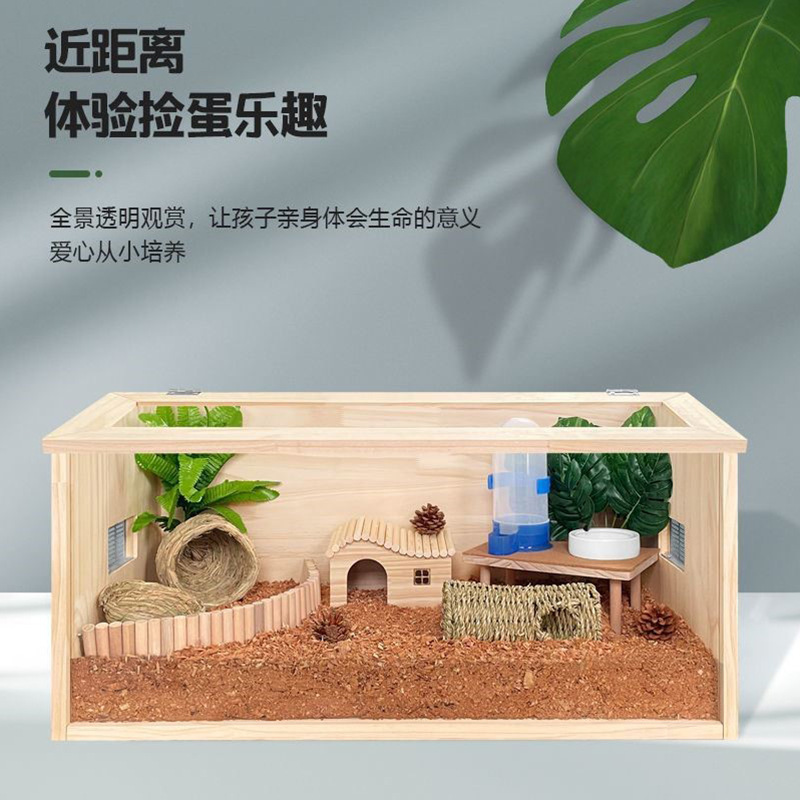 木质鹌鹑仓鼠育雏箱木质芦丁鸡饲养箱 透明前窗保温造景芦丁鸡笼