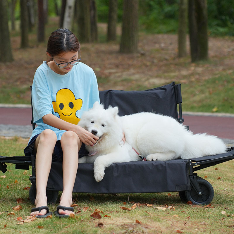 Camping Cart Upgraded Sofa Seat Children's Reclining Camp Cart Outdoor Camping Equipment Trolley Camper