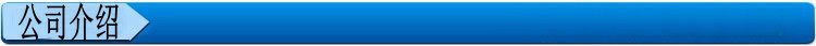 公司介绍