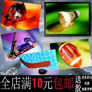 Free Shipping Sports Equipment Hockey Rugby Badminton Poster Sports Stadium Decorative Painting Photo Frame Wall Painting