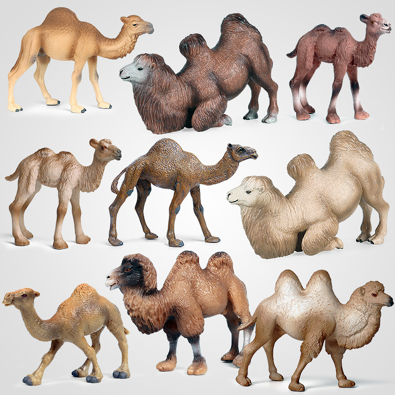 Children's simulated animal toy animal model solid camel desert vehicle single and double hump camel cognitive gift ornament