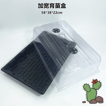 ������ �ӌ� ���ښW�� ����� ���B�Nֲ�� �̨�Nֲ �������