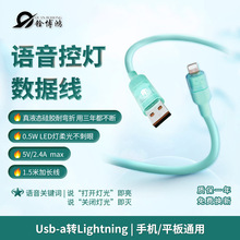 ZСҹATOLightning12WСҹType-c늾ͨ