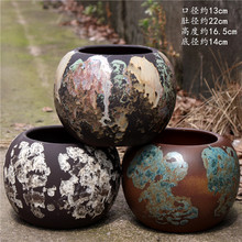 �N��͹�����մɁ����L����÷��̖�߼�ͥԺ�@�քe���Gֲ����