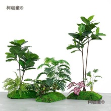 �Gֲ�쾰�҃Ⱦ��^�쾰������������̦�\��ֲ���b����¼���̫��