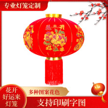 家和万事顺灯笼春节新年大红灯笼户外防水阳台大门装饰中国风灯笼