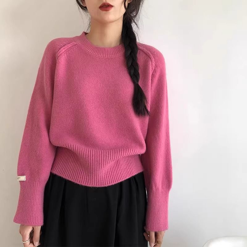 2025新款韩版浣熊绒圆领毛衣女冬季打底衫针织上衣