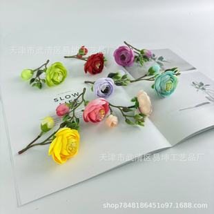 ����2��õ��������� �ֹ�diy��� ��c�����zӰ�����b���������