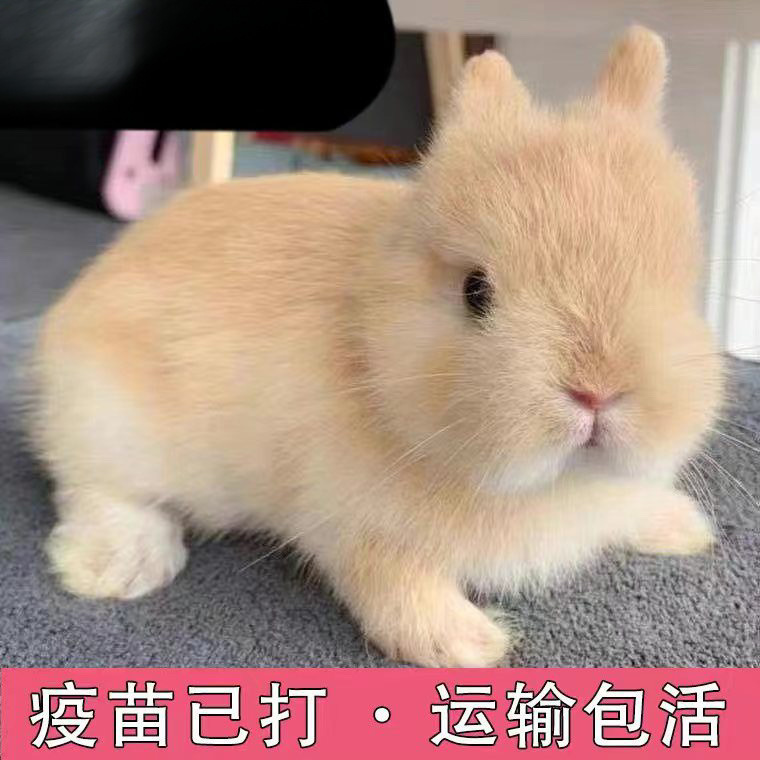 bf694ac7-87e1-41cd-a519-5670f0ecff26.jpe