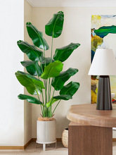 �����Gֲ����ֲ�����˽����ͼ٘������B���W�҃ȿ͏d�b����Ԕ[��