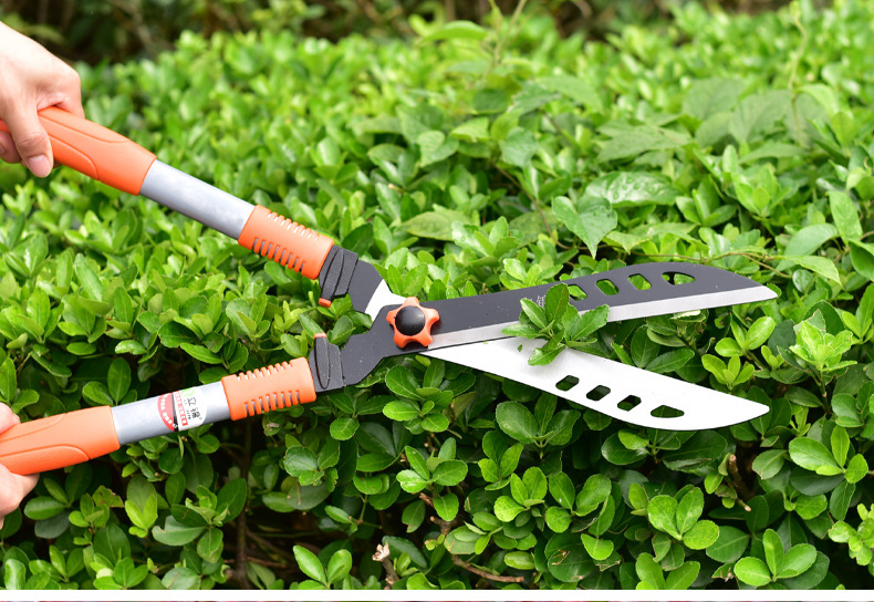 简单详情排版1_14