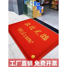 ?歡迎光臨進門地毯迎賓門墊防滑吸水商鋪酒店大門口地墊商用腳墊