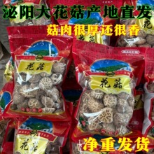 泌阳大花菇菇冬厚菇 各种规格 大小均匀肉厚特产山货干香花菇批发