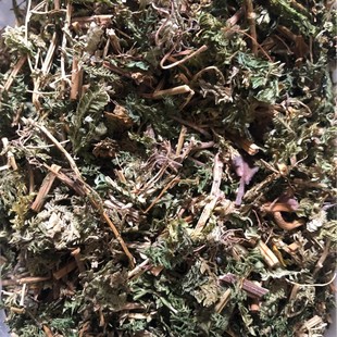 lʯϰ  ؂Ȱ ~ GشPβݴ