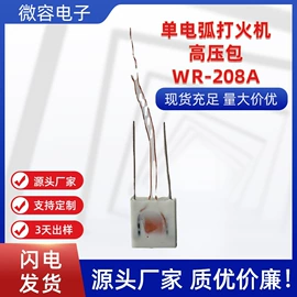 点火器;厨用点火器;电子变压器
