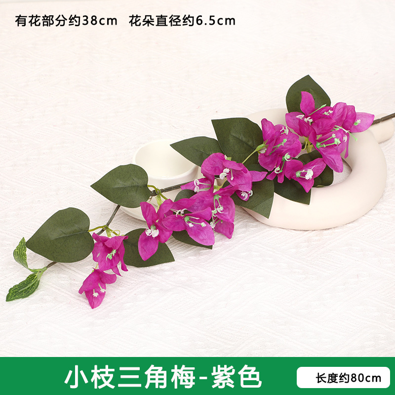 부겐빌레아 가지 - 진한 보라색